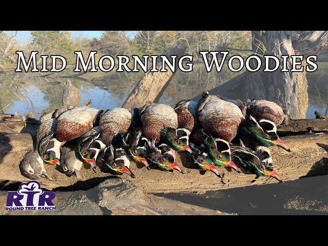4 Man Wood Duck Limit - Kansas Duck Hunting 2021