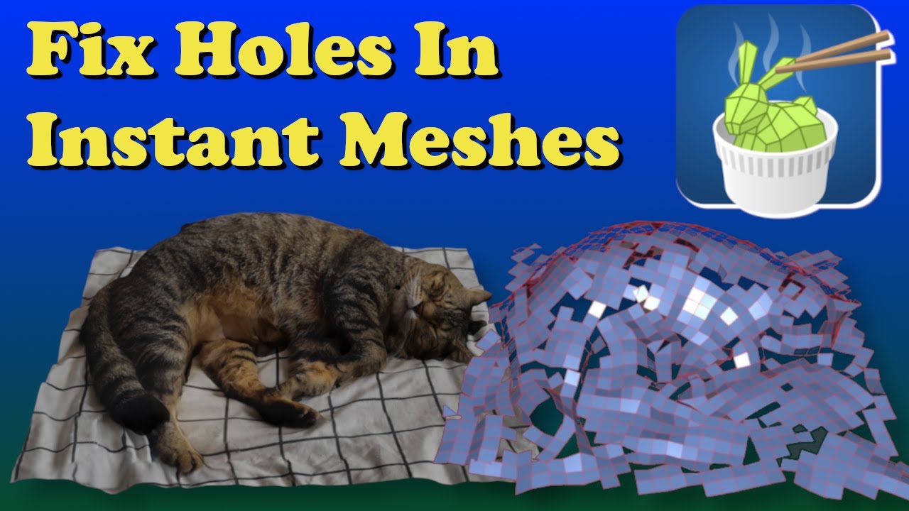 Fix Holes in Instant Meshes