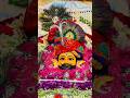 Shyam Baba Status Khatu Shyam Status Khatushyamji Khatushyam Shorts Youtubeshorts Viral