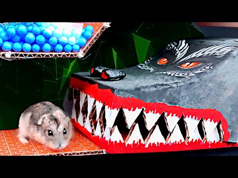 🐹🐲 DRAGON Hamster Maze with Traps 😱[OBSTACLE COURSE]😱 + DRAGON and SNAKE