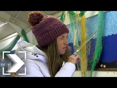 download lagu mp3 mp4 Hakarl Comprar, download lagu Hakarl Comprar gratis, unduh video klip Hakarl Comprar