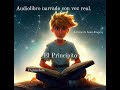 El Principito capitulo 6, Antoine de Saint-Exupéry (narrado con voz real) Audiolibro FighterJota