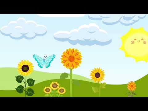 Cântec pentru copii - Floarea soarelui