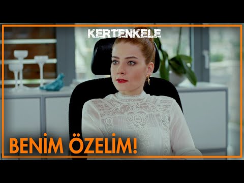 Sen benim kardeşim gibisin Semih! - Kertenkele