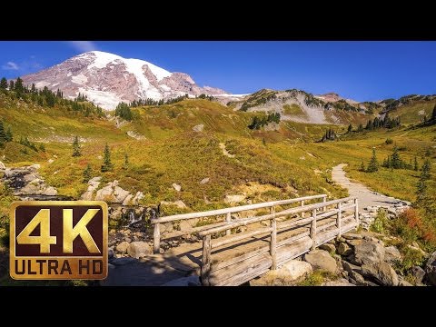 Mount Rainier National Park. Episode 2 - 4K Nature Documentary Film