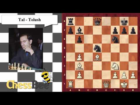 62. Tal Vs Tolush