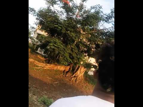 @_chenchopr - Conversación con cupido (freestyle)