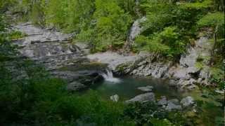 Slow Down and See God's Creation