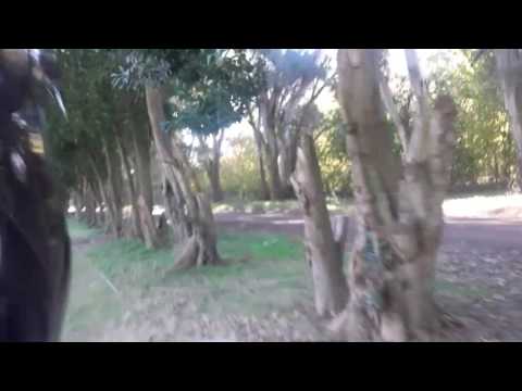 Parque Villarino Zavalla Sta Fe