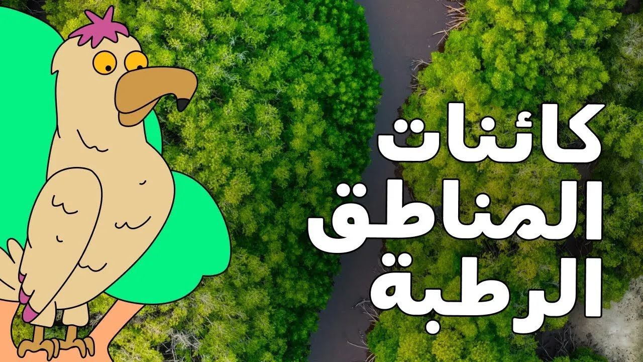 كائنات أشجار المانغروف!