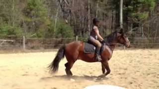 Tryst being super good