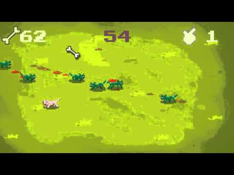 Zombie Dogs Video