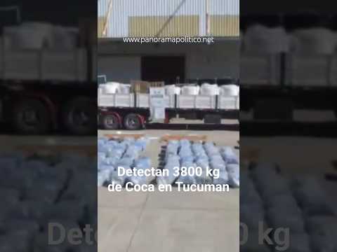 Tucumán *Detectan 3.801 kilos de hojas de coca transportados en un camión*En el Puesto de “Trancas”