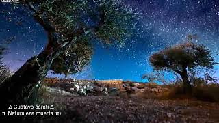 Gustavo Cerati - Naturaleza Muerta