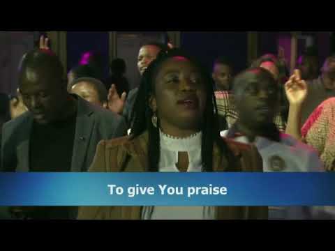 Timax - A Thousand Tongues