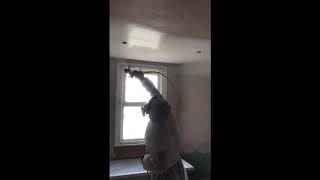 Album cover: Spray painting 