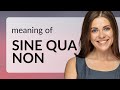Sine qua non | meaning of SINE QUA NON