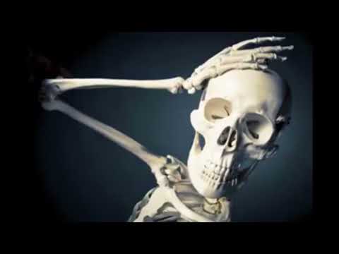 Esqueleto Loquendo #10