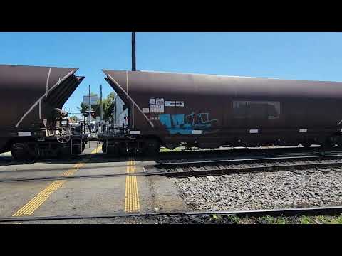 PN Coal NW432 Clyde Street Level Crossing Islington NSW 07 November 2023