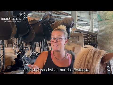 Die 5 größten Fehler beim Pferdekauf -  Islandpferde Verkauf Thehorseseller Youtube