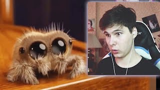 САМОЕ СМЕШНОЕ ВИДЕО В МИРЕ Тест на психику ЗАСМЕЯЛСЯ ПРОИГРАЛ ЧЕЛЛЕНДЖ
