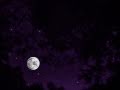 #43 Whisper: Starry Night Sky Relaxation 