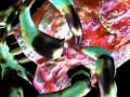 Front Line Assembly "Predator (Final Mix by Collide)"