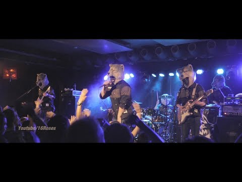MAN WITH A MISSION (live) "Give It Away" @Berlin June 24, 2017