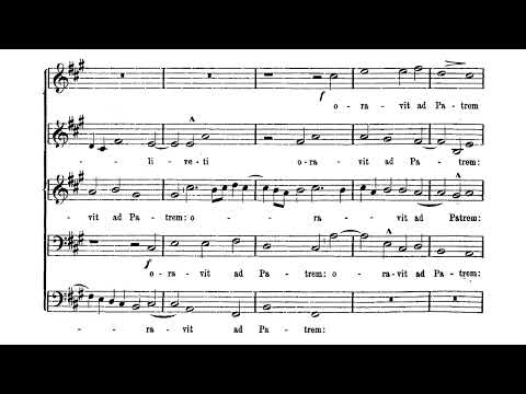 Mikołaj Zieleński - Motetto: In Monte Oliveti (Gałoński)