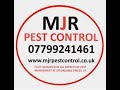 Bedbug Control Leeds