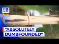 Footage Of Man Fishing Metres Away From Crocodile In Cairns 9 News Australia
