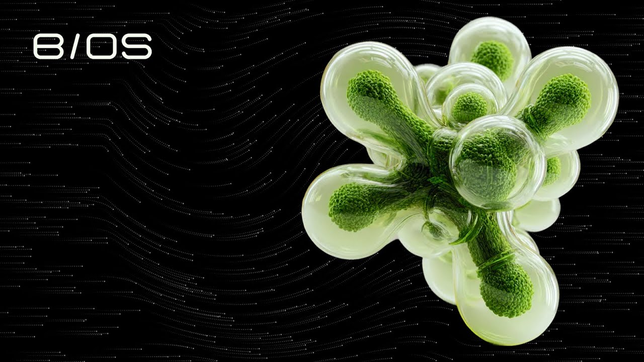 BIOS demo video