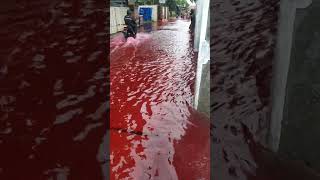 Download lagu pernah viral venomena banjir merah seperti darah #viral #shorts #fyp #pekalongankotabatik mp3 Download lagu pernah viral venomena banjir merah seperti darah #viral #shorts #fyp #pekalongankotabatik mp3