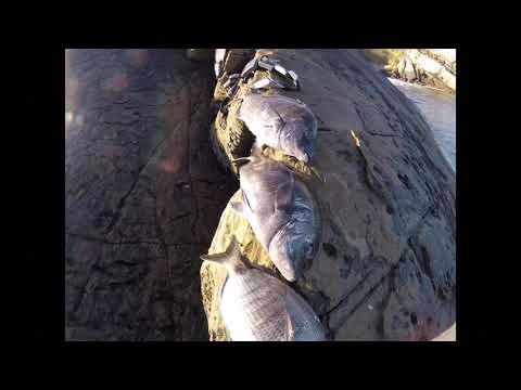 2019/02/23-25 Muxarrak-Sargos