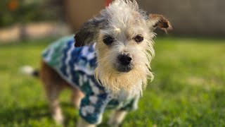 #seasonalyarnyyoutubehop2025 Winter ☃️