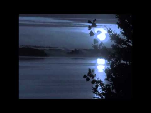 Ancient Boreal Forest - Dark Ages