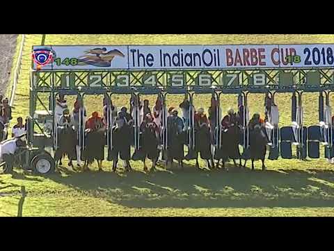 RM14 R8 - Saracen King(C.Segeon)