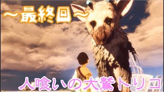 【実況】1人の少年と1匹の大鷲の新たなる神話【人喰いの大鷲トリコ】最終回