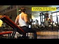 Training At Harald's Gym (Gold's Gym Of Scandinavia) | Chest & Back Workout