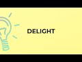 What is the meaning of the word DELIGHT?