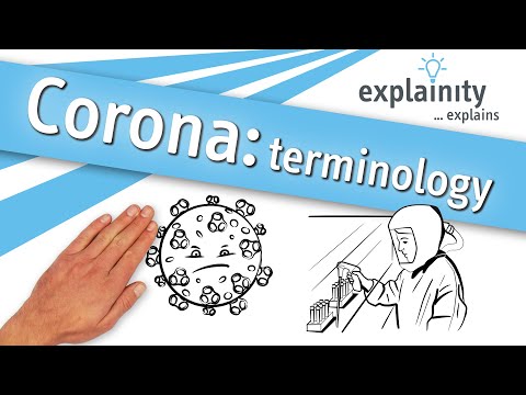 Corona Terms – explained simply