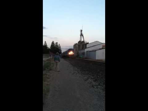 Coast Starlight + Amfleets