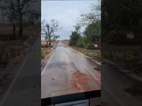 Temporal causa estragos na PR-090 entre Alvorada do Sul e Bela Vista do Paraíso.