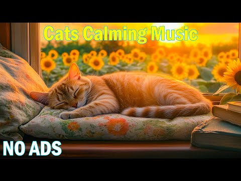 Sleep Anti Separation Anxiety Cats Music💖Calming Cats Music🎵Stressed Cats🐈Cats Sleep Music