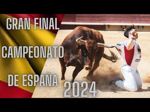 4K GRAN FINAL CAMPEONATO DE ESPAÑA DE RECORTADORES CON TOROS BRAVOS 2024 (CASTELLÓN)