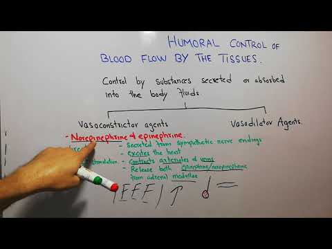 CVS physiology 107. Epinephrine and Norepinephrine, Role in humoral control of blood flow.