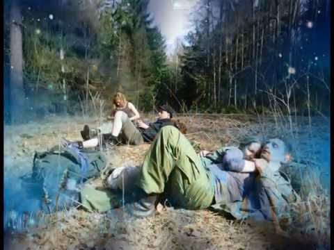 Jižní kříž / František Nedvěd.