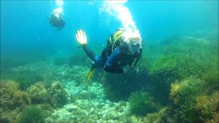 Reqqa and Xwenji June 2013