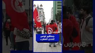 تونسيون من المدرجات.. المغرب منتخب قوي وتونس جاهزة للتتويج thumbnail