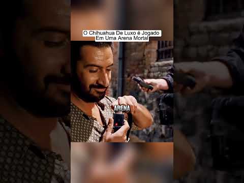 Esse chihuahua de luxo é jogado em uma arena mortal.